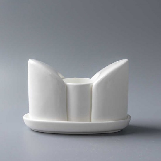 Porcelain Salt Shakers Set